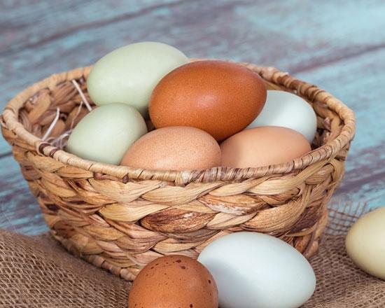 watermarked - egg-basket jpg