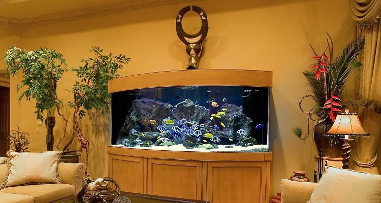 1-aquarium_interior_fishtank
