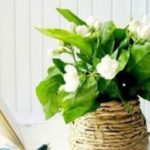 Ваза из пластиковой бутылки своими руками