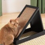 Как сделать когтеточку для кота?
