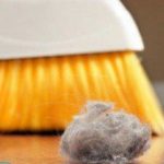 Из чего состоит пыль в квартире?