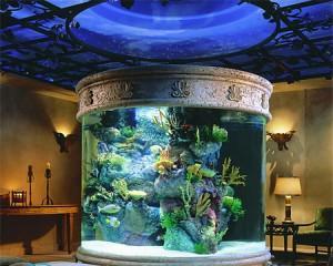 Как чистить стекла в аквариуме?