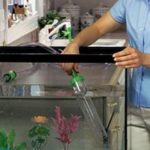 Чистка аквариума при минимальных затратах в домашних условиях