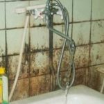 Грибок в ванной комнате — как удалить?