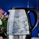 Какой чайник лучше — стеклянный или металлический?