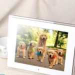 Цифровые фоторамки — как выбрать?