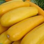 Как хранить кабачки?