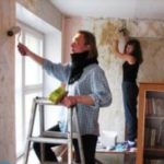 Плесень на стене в квартире — что делать?