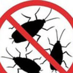 Дезинфекция от тараканов