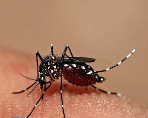 Средство от комаров спрей