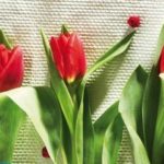 Как сшить тюльпаны из ткани своими руками?